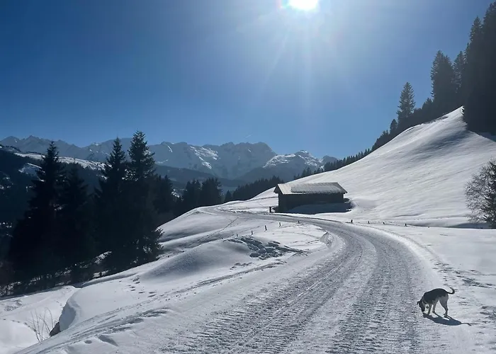 Pensjonat Boutique Appartments Gerlosperle